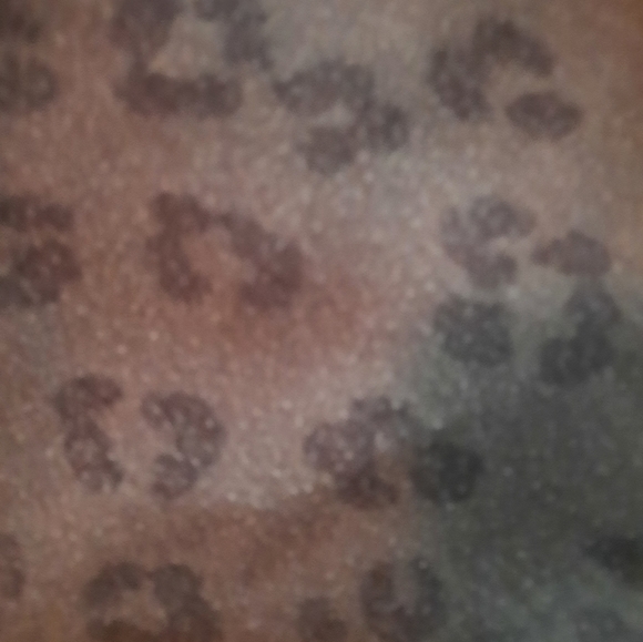 2 piece leopard sweat suit. - Picture 2 of 4